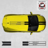 Renault Clio Mk4 over the top ADESIVOS