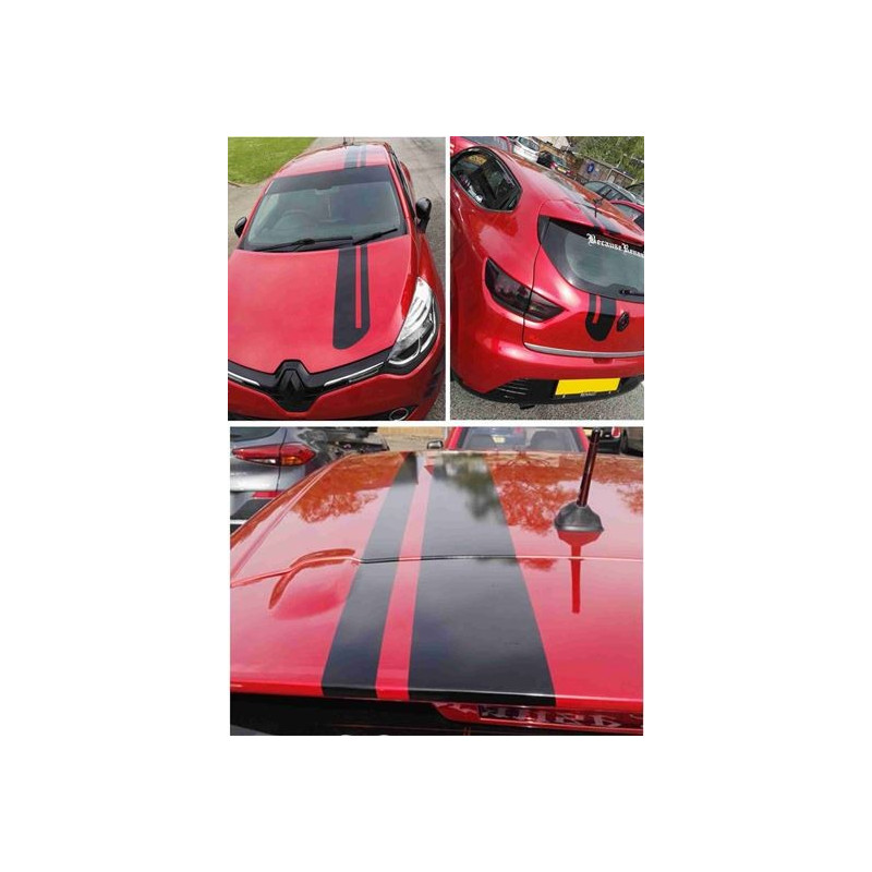 Renault Clio / Twingo Stripes ADHESIVOS