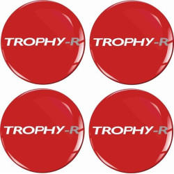 RENAULT Trophy Wheel centre Gel Badges Adesivi x4