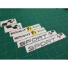 Renault Sport F1 Team DECALS (Compatible Product)