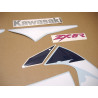 STICKER SET KAWASAKI ZX-6R YEAR 1998 VERDE (Producto compatible)