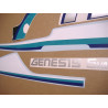 YAMAHA FZ 750 1990 WHITE/GREY/GREEN ADESIVI (Prodotto compatibile)