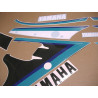 YAMAHA FZ 750 1990 WHITE/GREY/GREEN ADHESIVOS (Producto compatible)