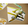 Decals SUZUKI HAYABUSA 1999-2007 CUSTOM NEO CHROME (Compatible Product)
