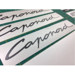 Aprilia Caponord ETV 1000 Stickers (Compatible Product)