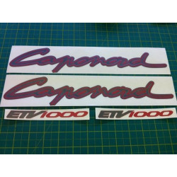 Aprilia Caponord ADHESIVOS (Producto compatible)