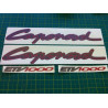 Aprilia Caponord Stickers (Compatible Product)