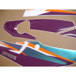 YAMAHA FZR 600 1994 WHITE/GREEN/PURPLE AUTOCOLLANT (Produit compatible)