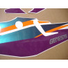 YAMAHA FZR 600 1994 WHITE/GREEN/PURPLE AUTOCOLLANT (Produit compatible)