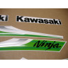 KAWASAKI ZX-6R YEAR 2010 green stickers (Compatible Product)