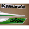 KAWASAKI ZX-6R YEAR 2010 green adesivi (Prodotto compatibile)