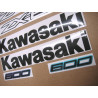 ADHESIVO KIT KAWASAKI ZX-6R 2010-2014 BLACK/CHAMELEON (Producto compatible)