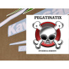 STICKER SET KAWASAKI ZX-6R