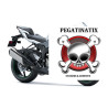 STICKER SET KAWASAKI ZX-6R