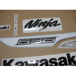 KAWASAKI ZX-6R YEAR 2013 ADHESIVOS