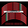 DUCATI Monster wheel stickers decals rim stripes 12 pcs. 600 821 1200R 796