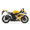 Suzuki GSX-R 1000 wheel stickers decals rim stripes 12 pcs. Laminated