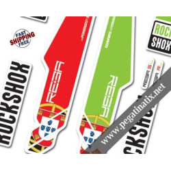 FORK ROCK SHOX REBA 2013 PT DECALS KIT STICKERS FORKS