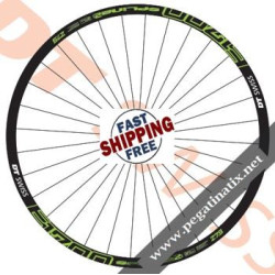 STICKERS WEEL DT SWISS E1700 SPLINE TWO STICKERS KIT