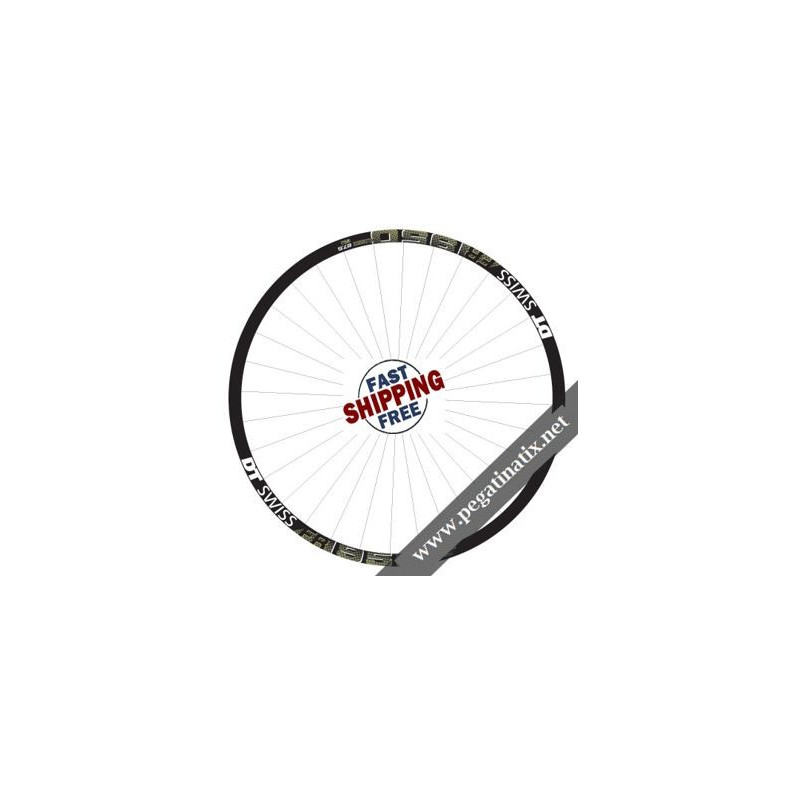 STICKERS WEEL DT SWISS FR 1950 CLASSIC STICKERS KIT