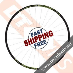 STICKERS WHEEL DT SWISS X1700 SPLINE TWO DECALS KIT