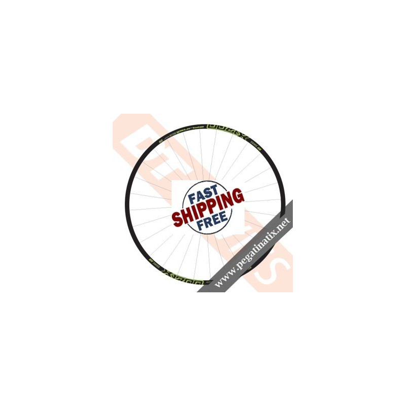 STICKERS WHEEL DT SWISS X1700 SPLINE TWO DECALS KIT