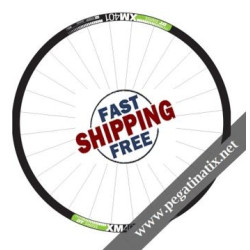 STICKERS WHEEL DT SWISS XM 401 STICKERS KIT