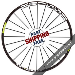 STICKERS WHEEL DT SWISS XM1550