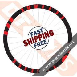 STICKERS WHEEL DT SWISS XMC-1200 DECALS KIT