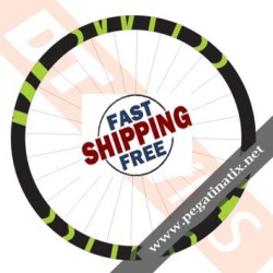STICKERS WHEEL DT SWISS XMC-1200 DECALS KIT