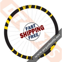 STICKERS WHEEL DT SWISS XMC-1200 DECALS KIT