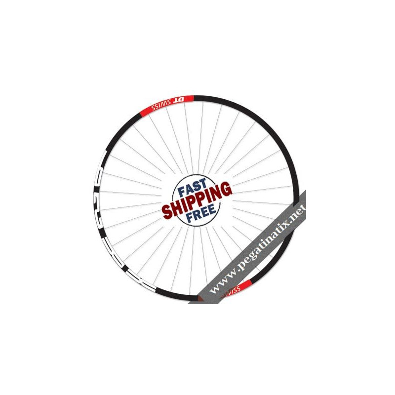 STICKERS WHEEL RIMS DT SWISS XR 29