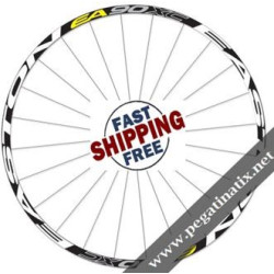 STICKERS WHEEL EASTON EASTON EA90 XC STICKERS KIT
