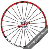 STICKERS WHEEL EASTON HAVEN DECALS KIT