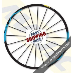 STICKERS WHEEL MAVIC XA ELITE DECALS KIT