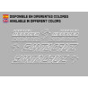Sticker decal bike Santa Cruz HECKLER 