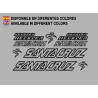 Sticker decal bike Santa Cruz HECKLER 