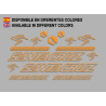 Sticker decal bike Santa Cruz CHAMELEON
