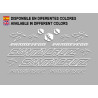 Sticker decal bike Santa Cruz CHAMELEON