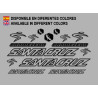 Sticker decal bike Santa Cruz CHAMELEON