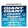 Stickers decals bike GIANT RAPID AM29