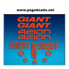 Stickers decals bike GIANT REIGN AM30