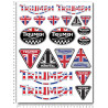 Triumph Large decal sticker set 24x32 cm Speed triple DAYTONA 675 Laminated