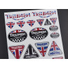 Triumph Large decal sticker set 24x32 cm Speed triple DAYTONA 675 Laminated