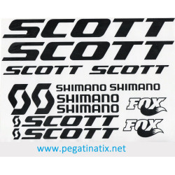Sticker decal bike SCOTT 