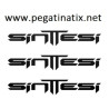 Sticker decal bike SINTTESI 