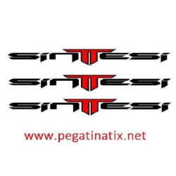 Sticker decal bike SINTTESI 
