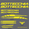 Stickers decals bike cycle BOTTECCHIA