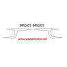 Stickers decals motorcycle DUCATI 250 MK3