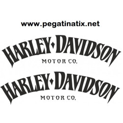 Stickers decals motorcycle HARLEY DAVIDSON MOTOR CO